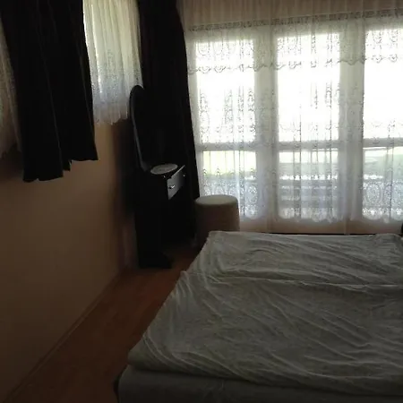 Daire Lukacs Panzio *